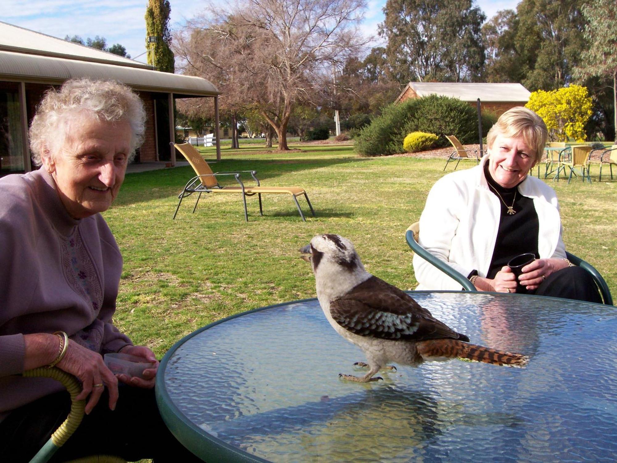 Cadell On The Murray Motel Moama Exterior photo